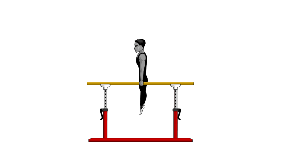Support Position - Parallel Bars