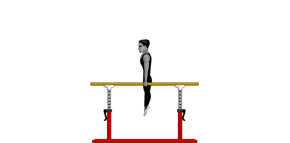 Parallel Bars - Support Swing
