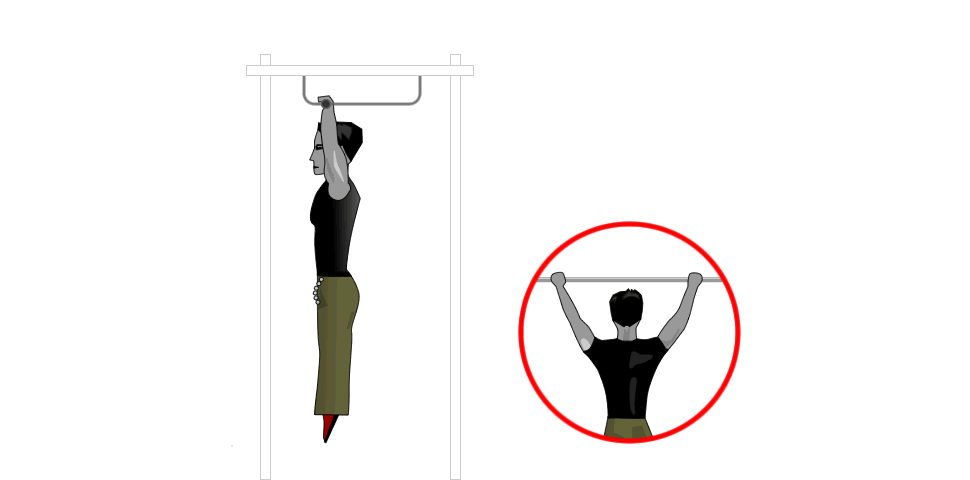 Back Muscles - Wide Grip Lat Pull-Up